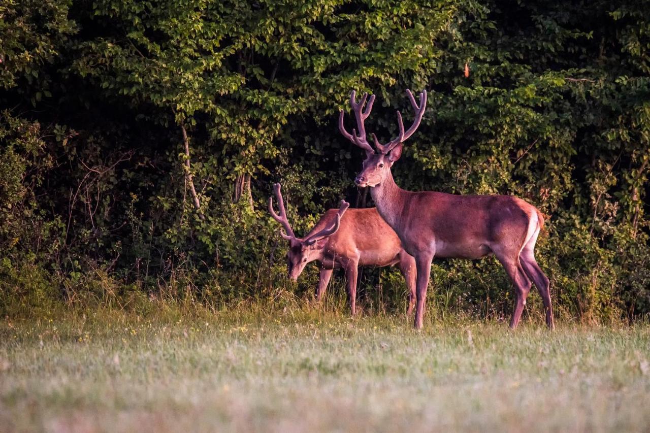 Naturpark Vendeghaz Alsoszolnok Exteriér fotografie