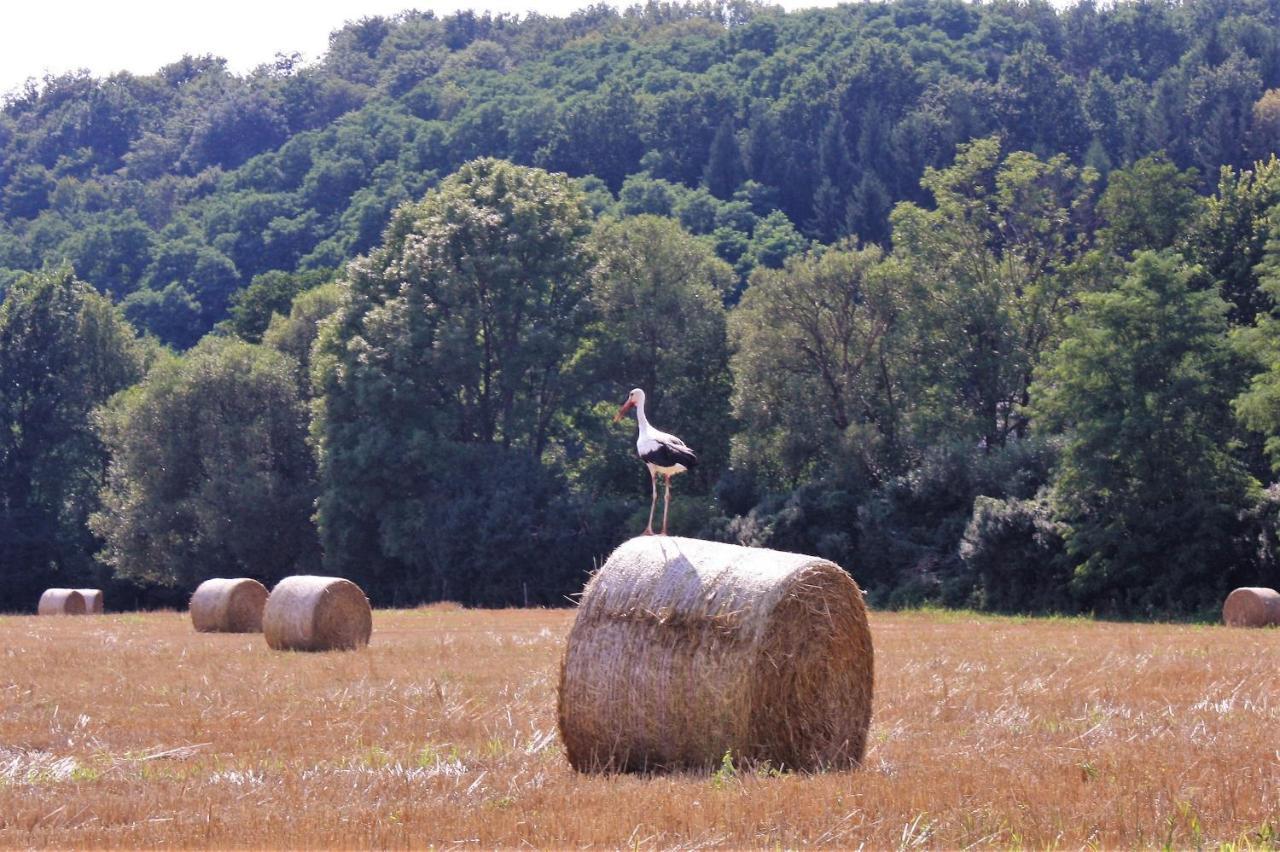 Naturpark Vendeghaz Alsoszolnok Exteriér fotografie
